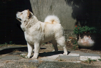 kuuki1