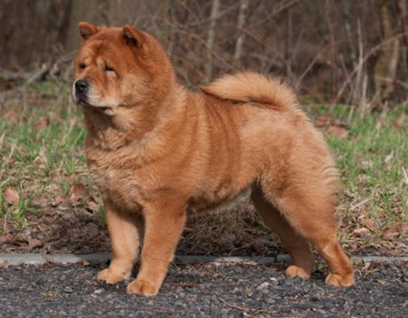 Ploon2012-HannieWarendorf