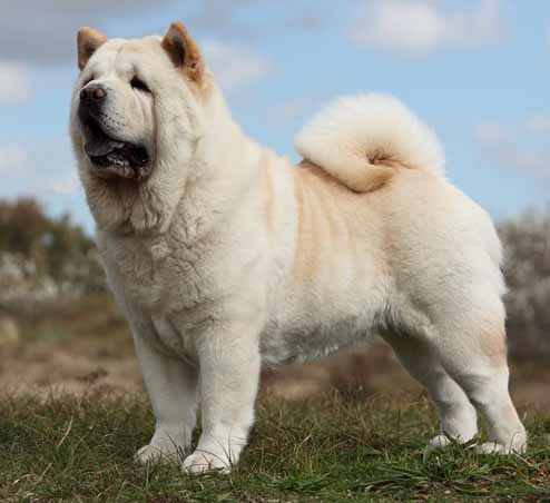 quinta ivbeekum 7146ana