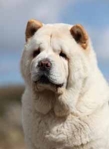 quinta ivbeekumimg 7158na